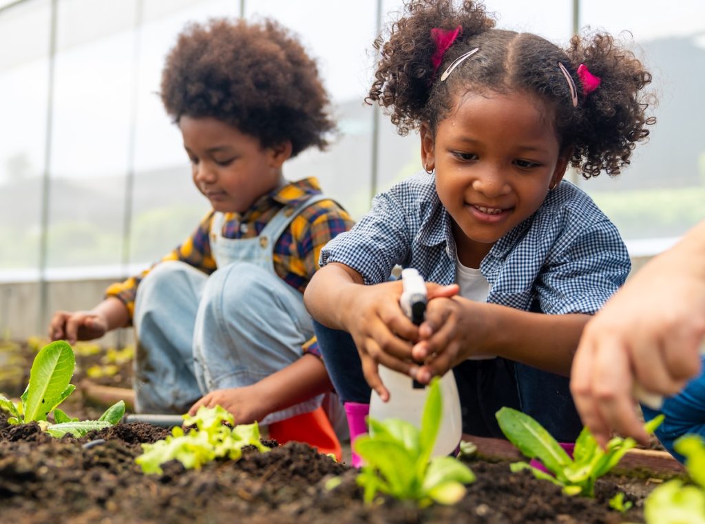 African Farmer Growing Salad Vegetables In Greenhouse Garden 