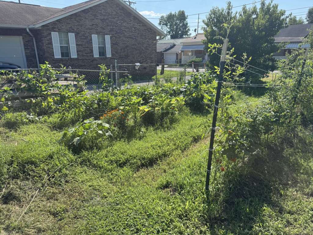 Garden 2