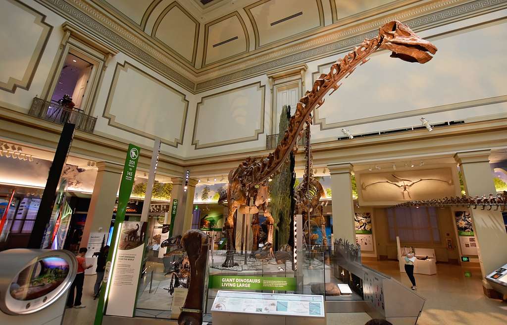 Dinosaur Pic